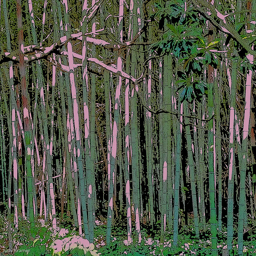 Judy Kramer A3 Stand Of Bamboo