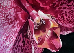 05 Therese Ferguson  “Fantasy Fuchsia”
watercolor
28”H x 36”W