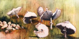 12 Frances Carson “Fungi Fandango”
oil
12”H x 24”W