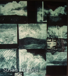 susan-turconi-a3-